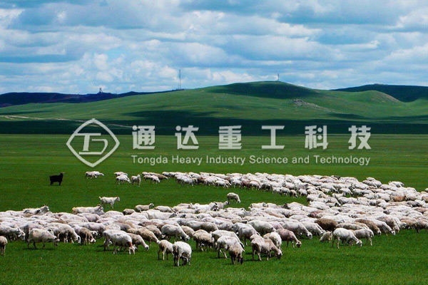 年產(chǎn)1萬噸羊糞有機肥生產(chǎn)線配置清單，需要投資多少錢
